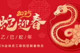 辭舊迎新，蛇舞華章丨深圳容金科技全體員工祝您新春快樂！
